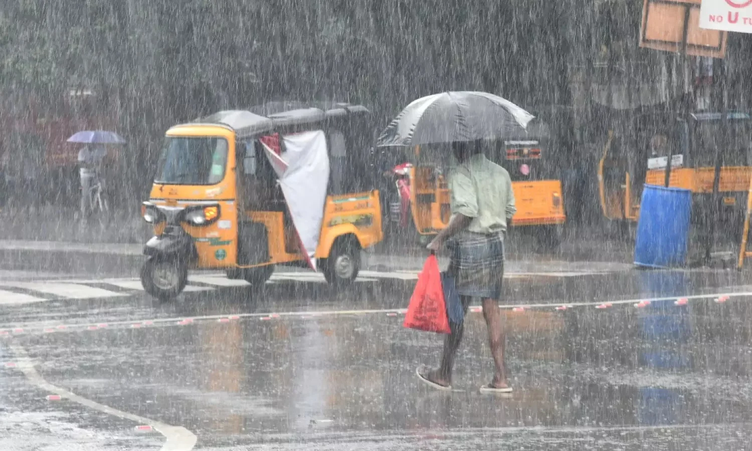 22925094-rain005